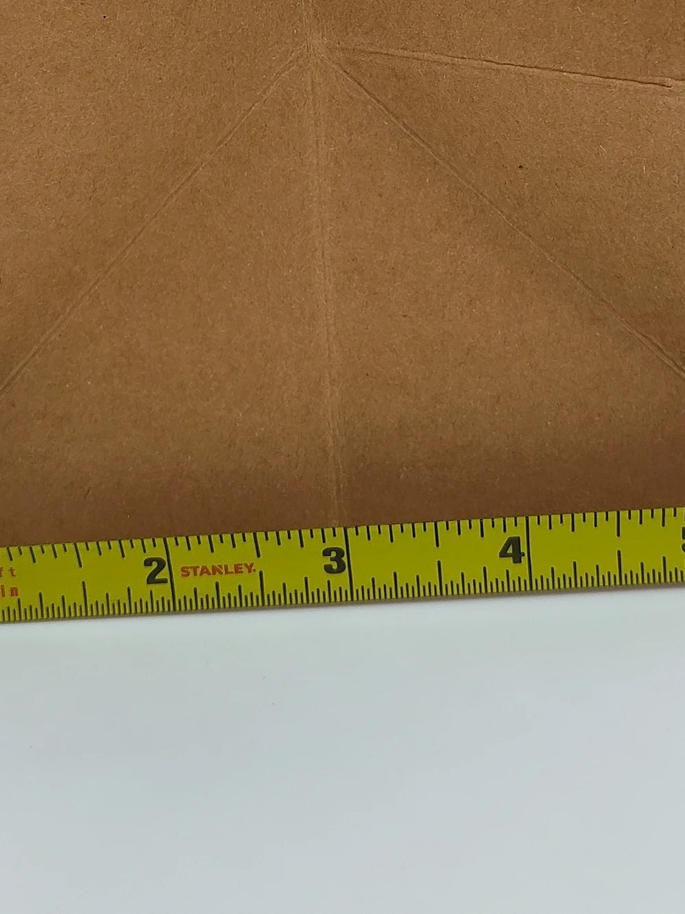 MILK TOAST “May Contain a Wild Raccoon” Large Funny Gift Bag Kraft Paper